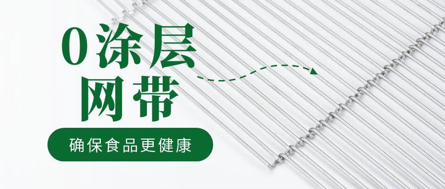 油炸機網(wǎng)帶“0 涂層”工藝，確保食品更健康